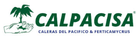Calpacisa